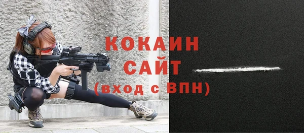 крисы Аркадак