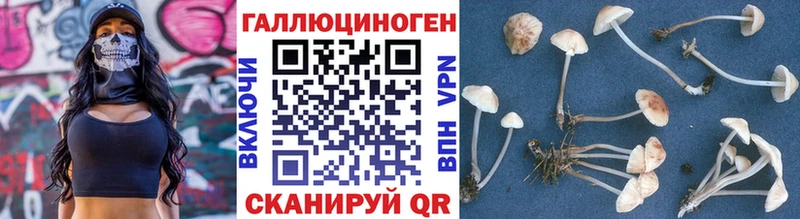 Купить где  Нефтекумск  Псилоцибиновые грибы MAGIC MUSHROOMS 