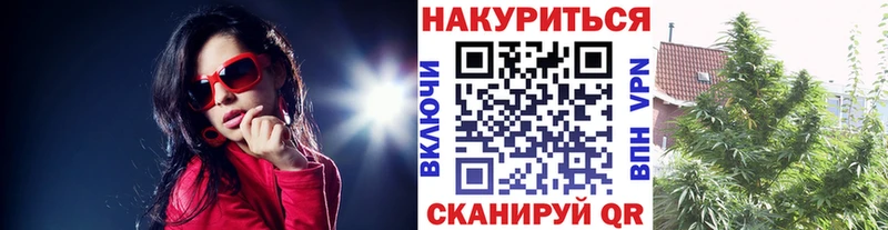 Конопля SATIVA & INDICA  Купить закладки  Нефтекумск 